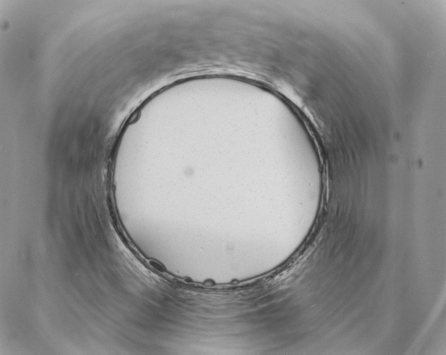 X0000088021500200706011311