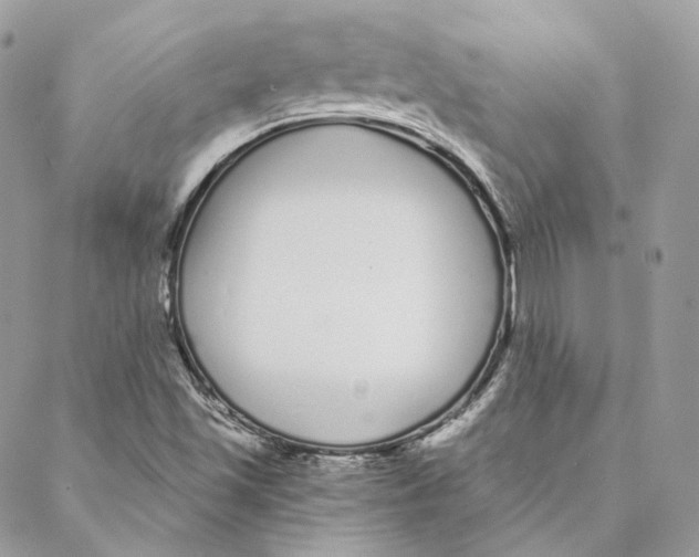 X0000088021501200706011311