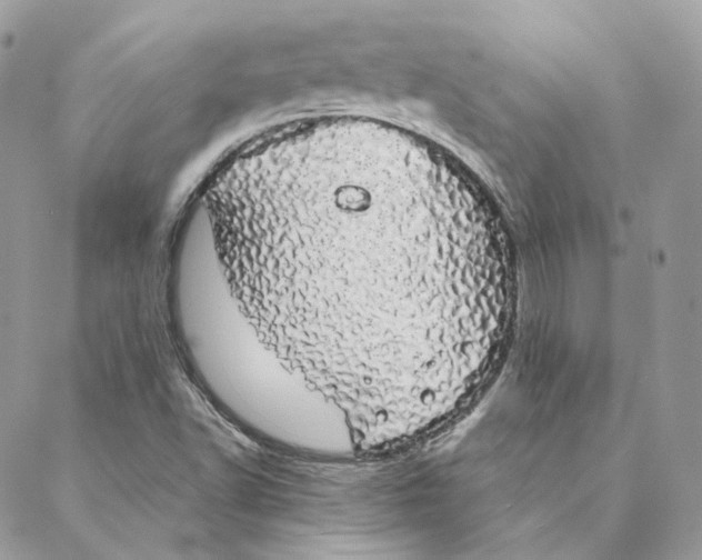 X0000088021502200706011311