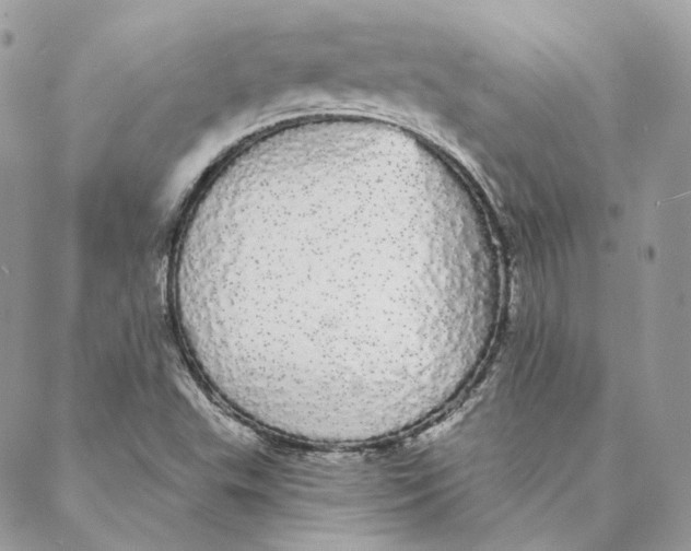 X0000088021503200706011311