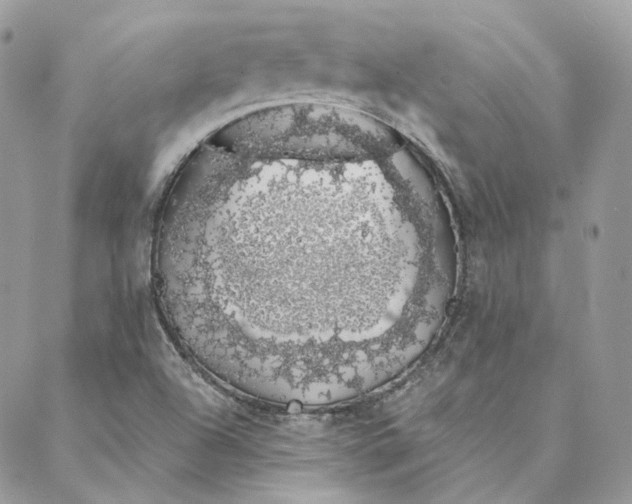 X0000088021504200706011311