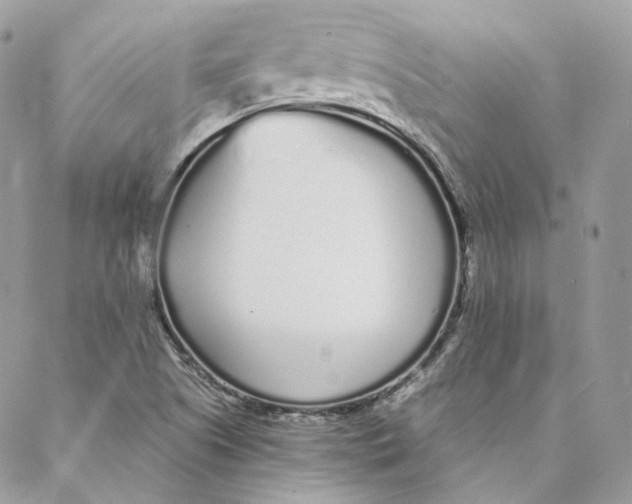 X0000088021505200706011311