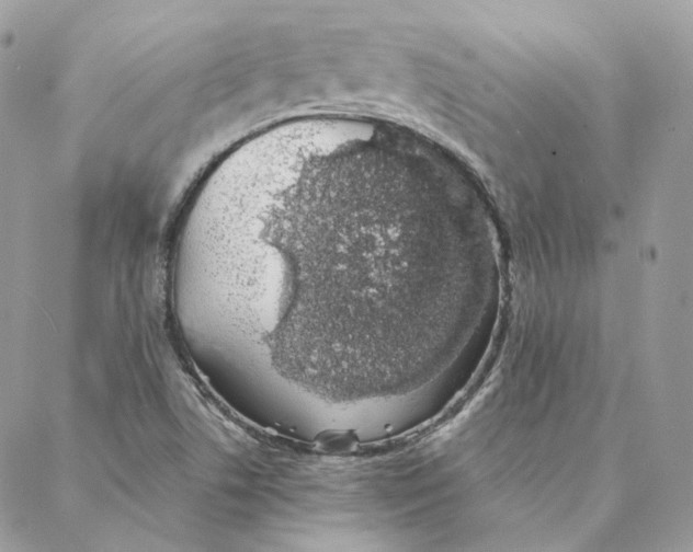 X0000088021506200706011311