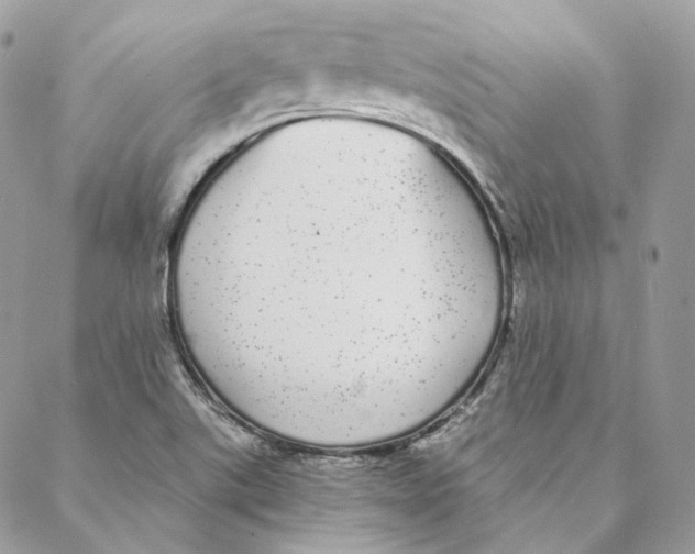 X0000088021507200706011311