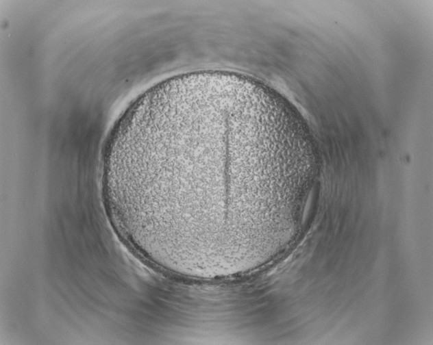 X0000088021508200706011311