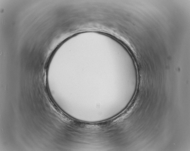 X0000088021509200706011311