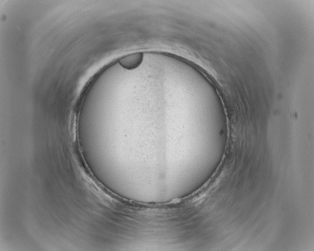 X0000088021510200706011311