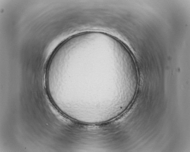 X0000088021511200706011311