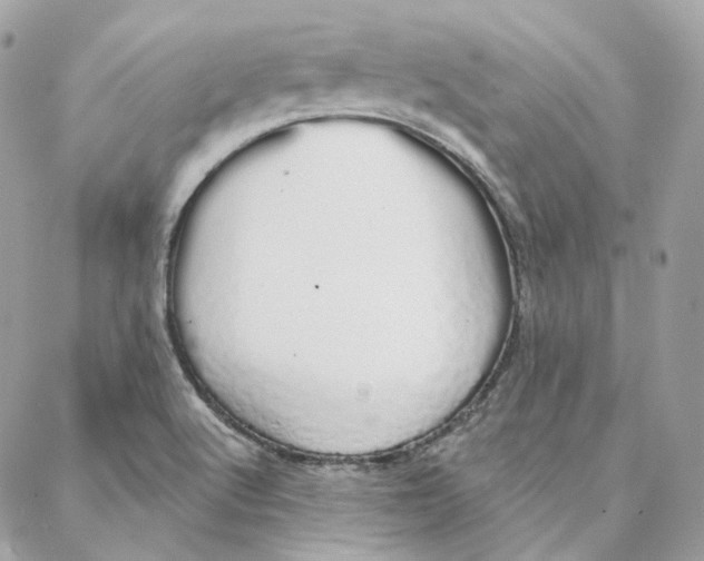 X0000088021512200706011311