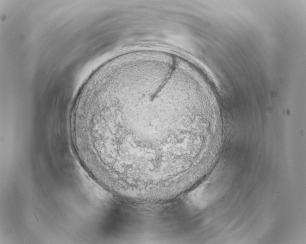 X0000088021514200706011311