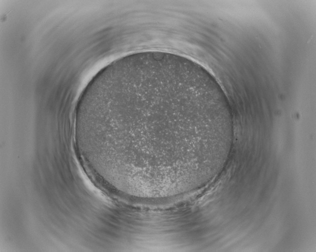 X0000088021515200706011311