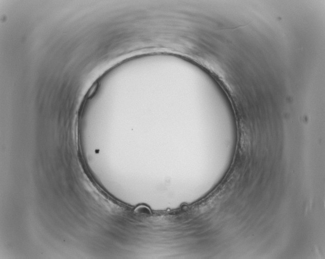 X0000088021516200706011311