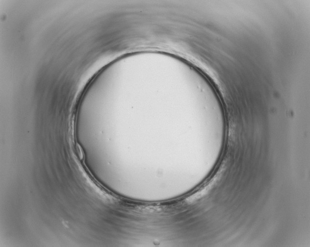 X0000088021517200706011311