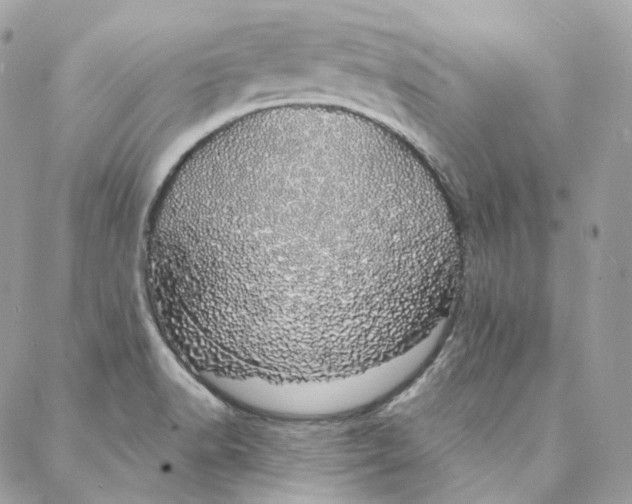 X0000088021518200706011311