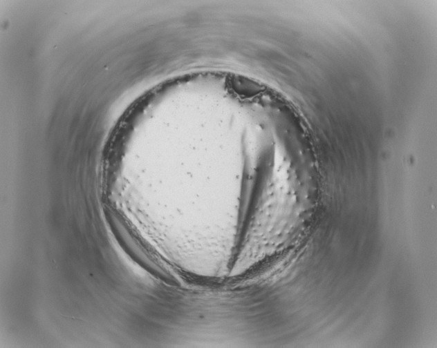 X0000088021519200706011311