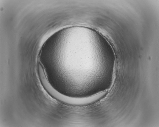 X0000088021520200706011311