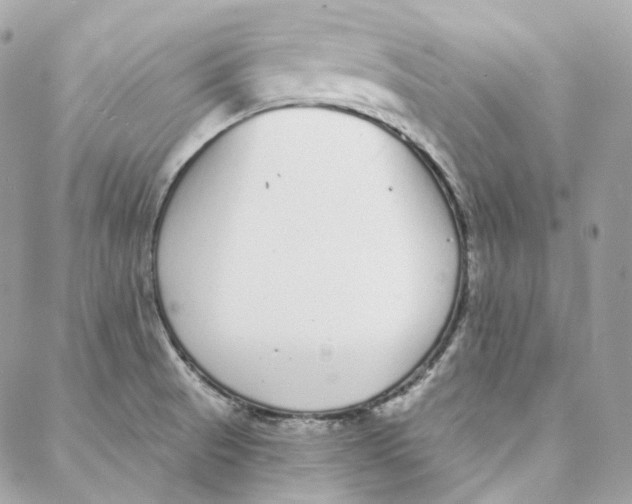 X0000088021521200706011311