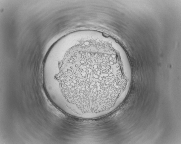 X0000088021522200706011311