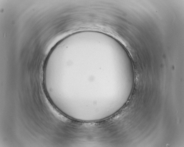 X0000088021523200706011311