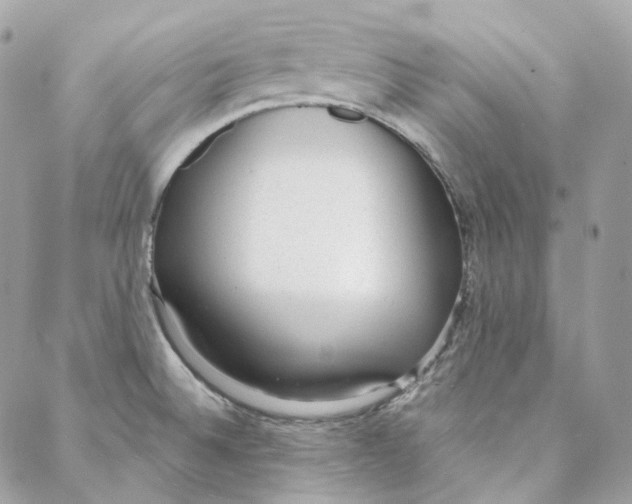 X0000088021524200706011311