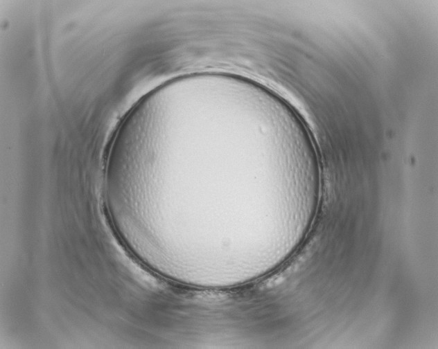 X0000088021525200706011311