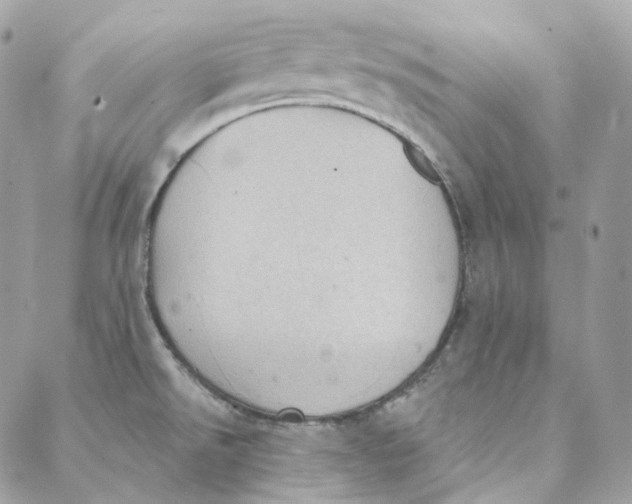 X0000088021526200706011311