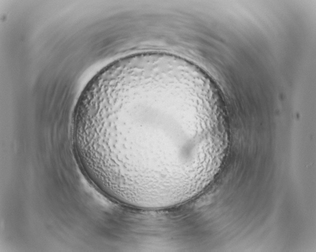 X0000088021527200706011311