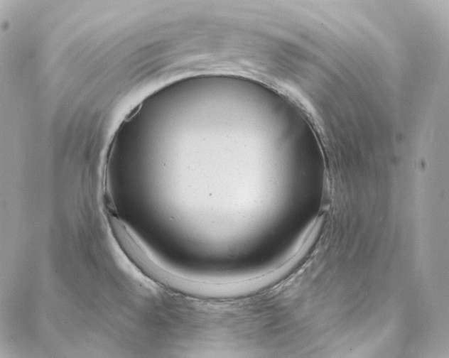 X0000088021528200706011311