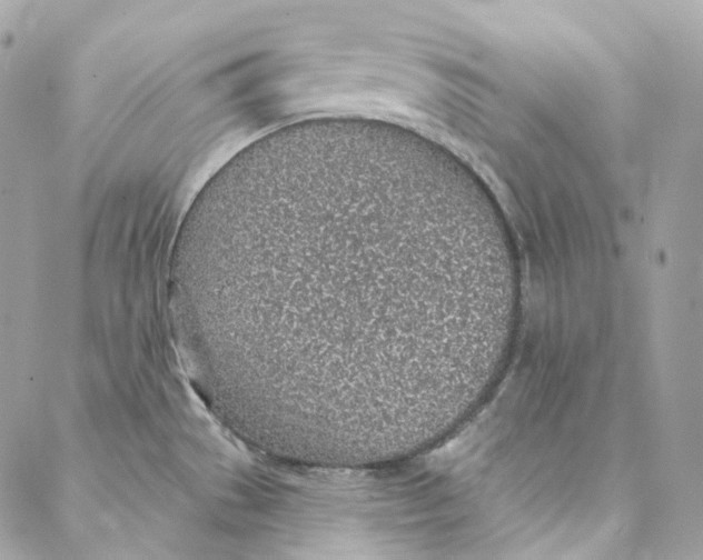 X0000088021529200706011311