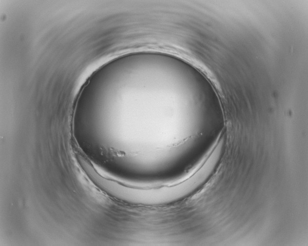 X0000088021530200706011311