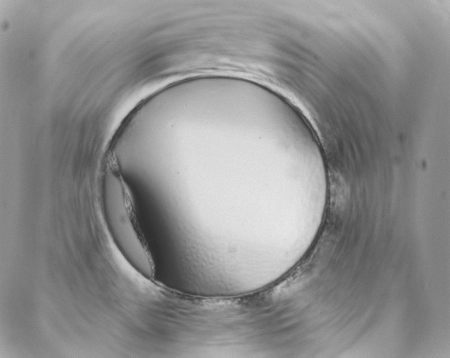 X0000088021531200706011311