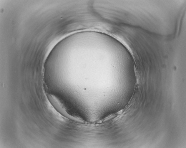 X0000088021532200706011312