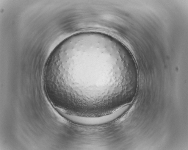 X0000088021533200706011312