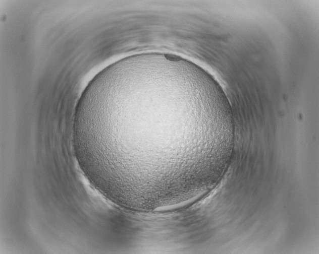 X0000088021534200706011312