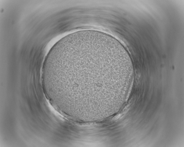 X0000088021535200706011312