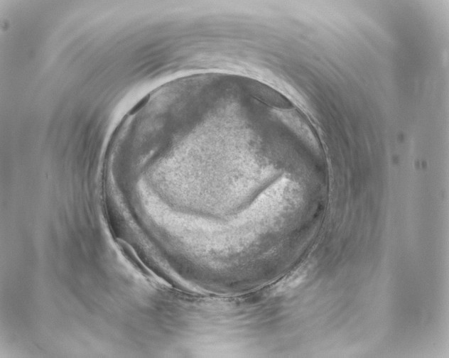 X0000088021536200706011312