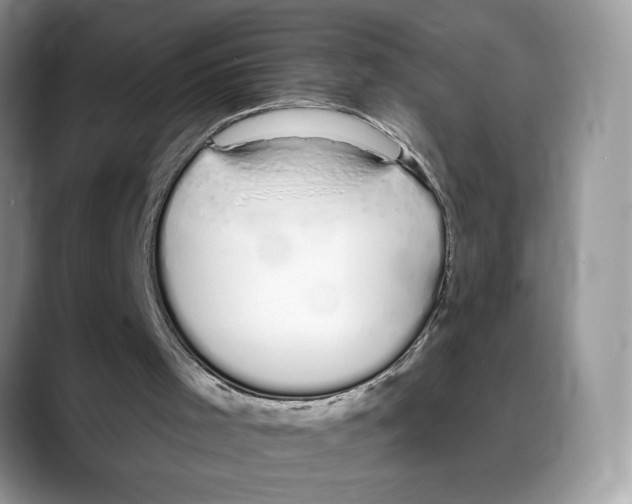 X0000088020001200706081450