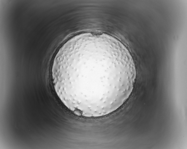 X0000088020002200706081450