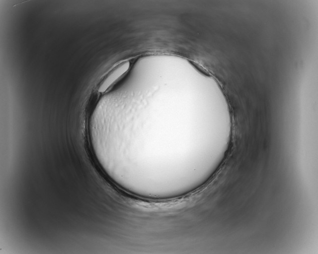X0000088020005200706081450