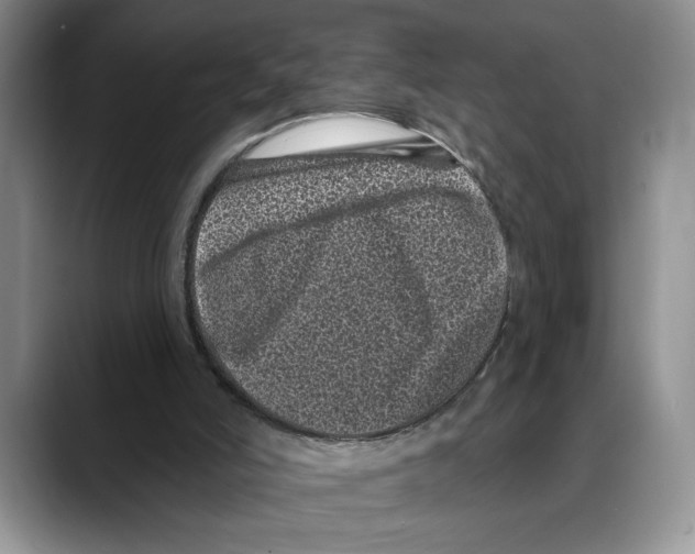X0000088020006200706081450