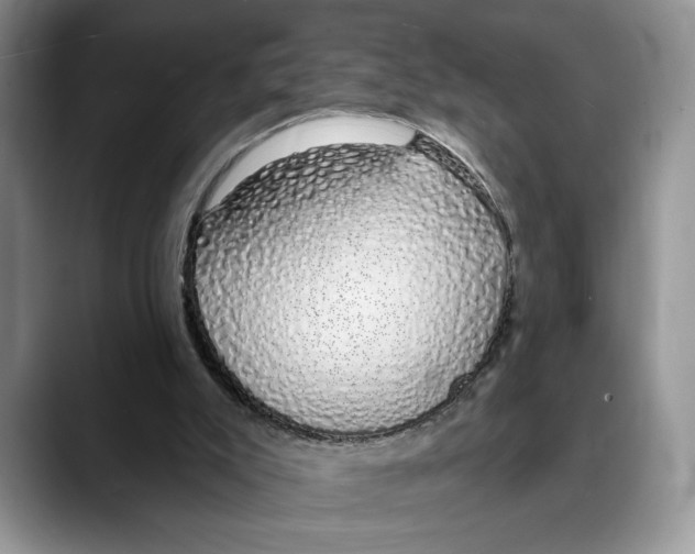 X0000088020007200706081450