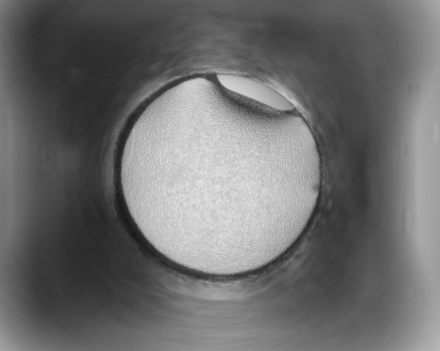 X0000088020008200706081450