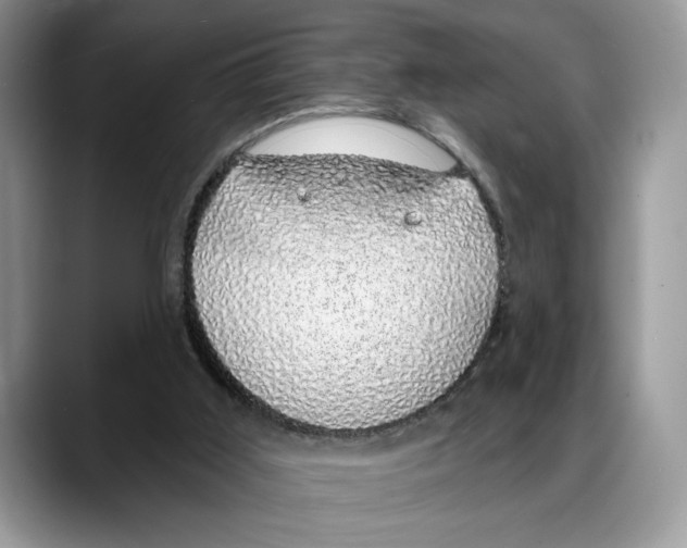X0000088020011200706081450