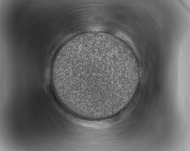 X0000088020012200706081450