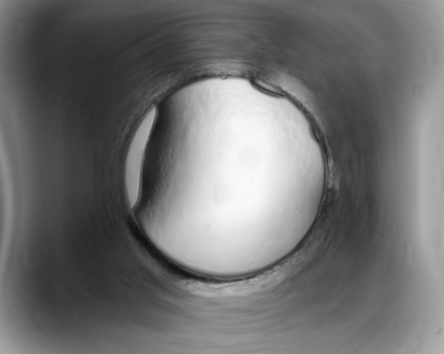 X0000088020013200706081450
