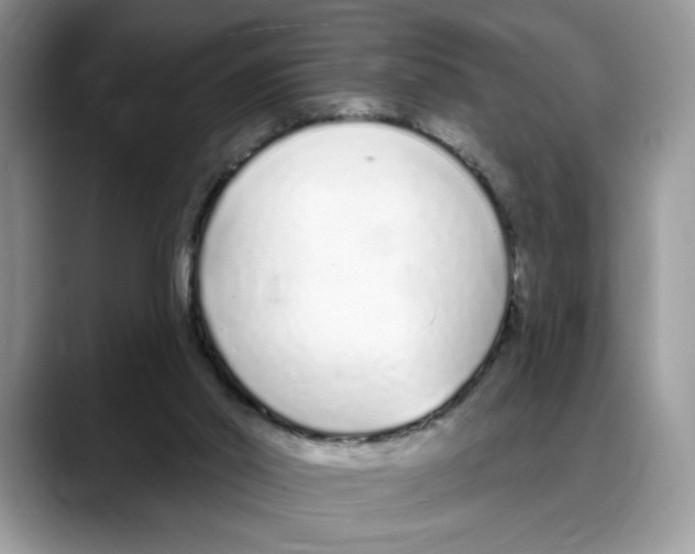 X0000088020014200706081450