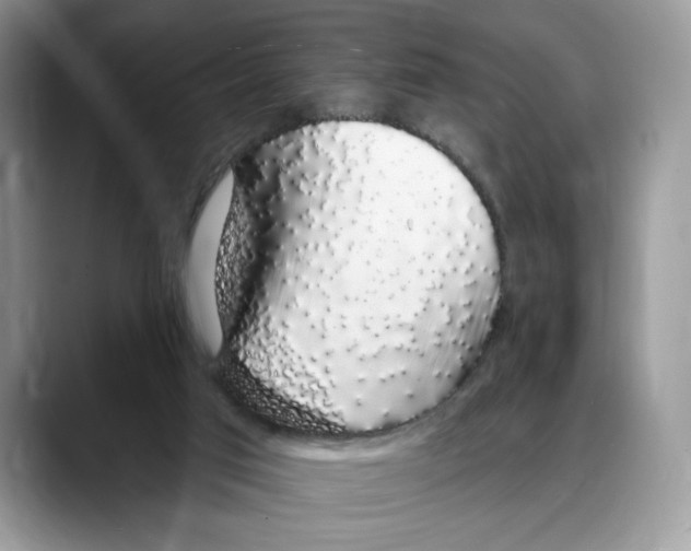 X0000088020017200706081450