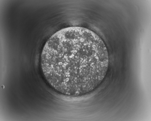 X0000088020018200706081450