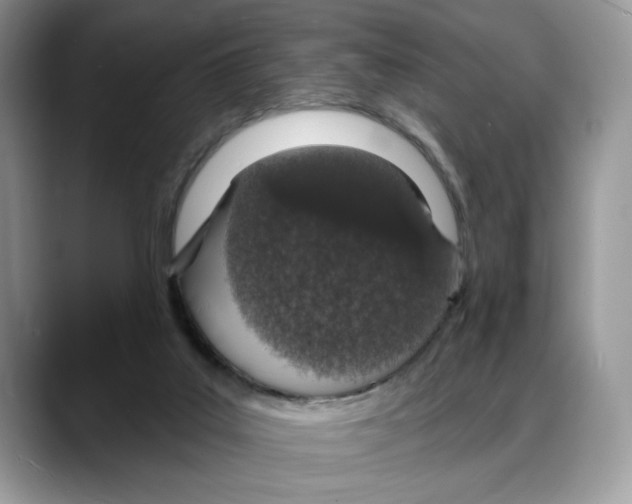X0000088020019200706081450