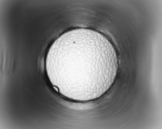 X0000088020020200706081450